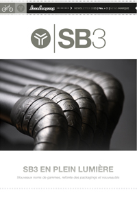 SB3